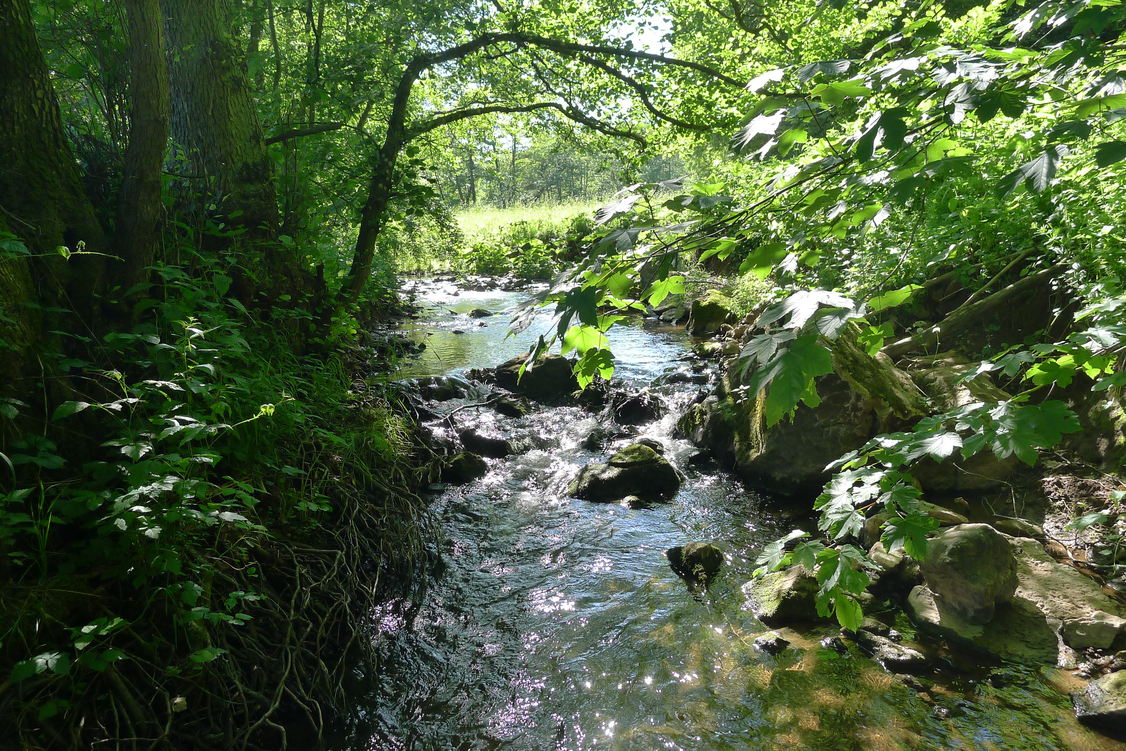 "Natura-2000-Gebiet" Eschweiler Tal