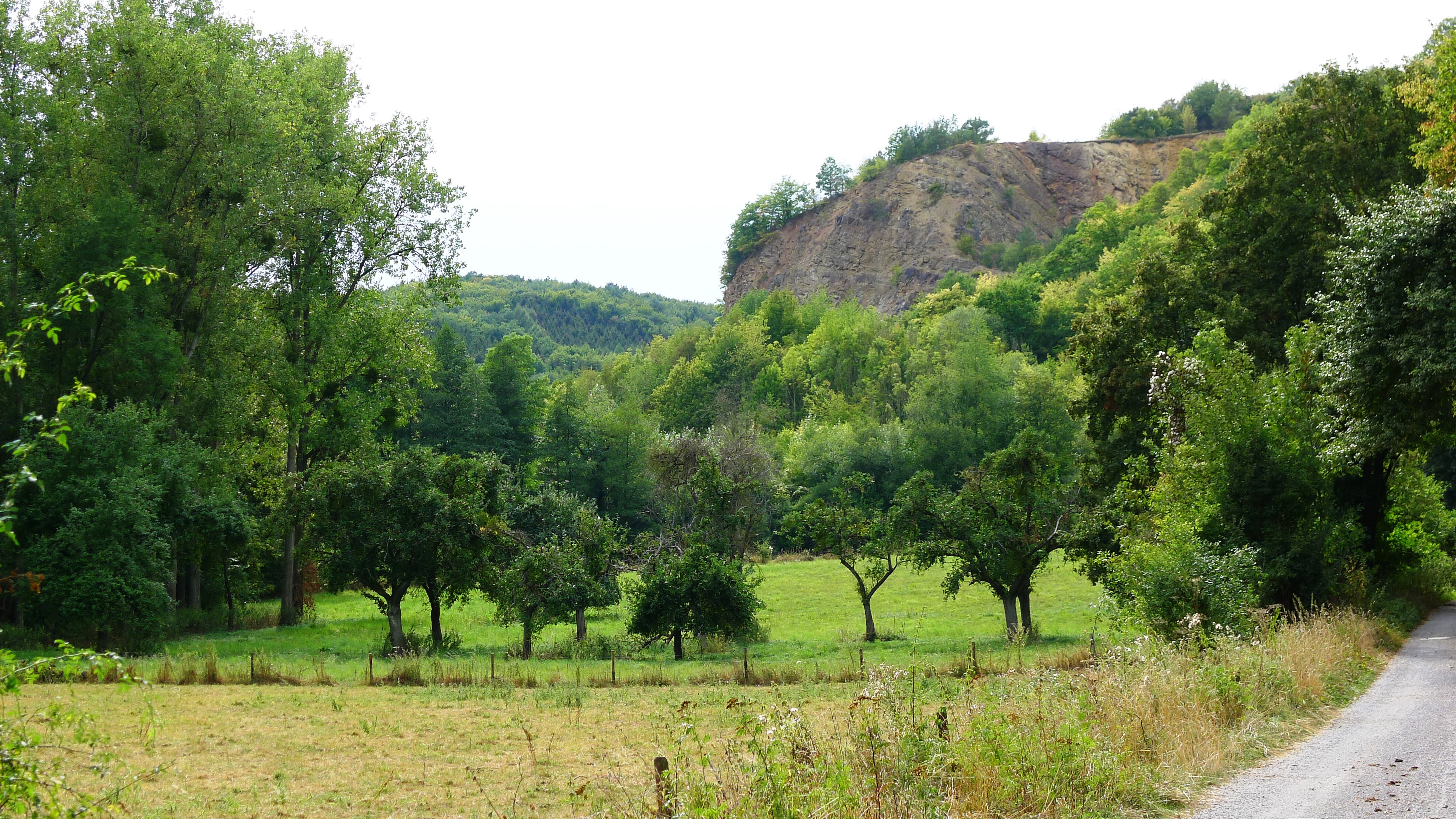 "Natura-2000-Gebiet" Eschweiler Tal