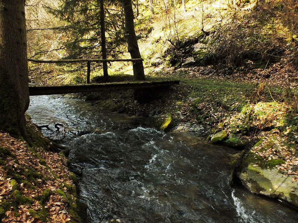 Wilde Endert ,,Deutschlands Schönster Wanderweg“