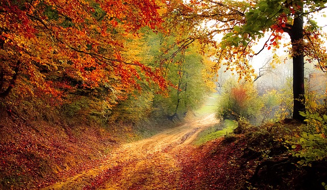 Lust auf Eifel-Herbst