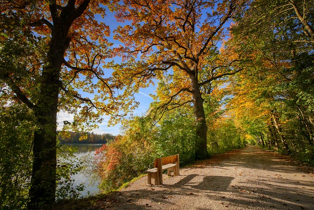 Wunderschön! Herbst in der südlichen Eifel – WDR Fernsehen, Sonntag, 3. Oktober 2021, 20.15 – 21.45 Uhr