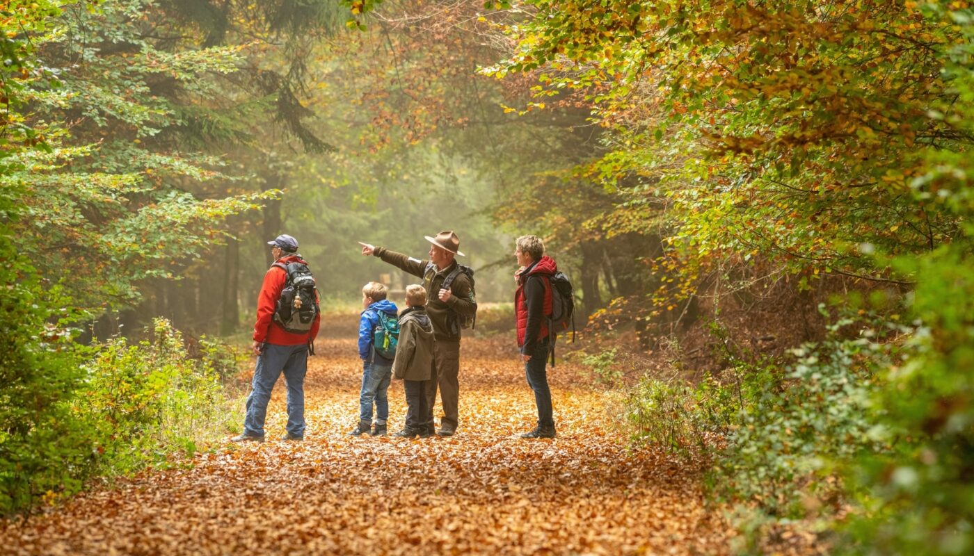 Spannende Spurensuche in herbstlichem Nationalparkwald