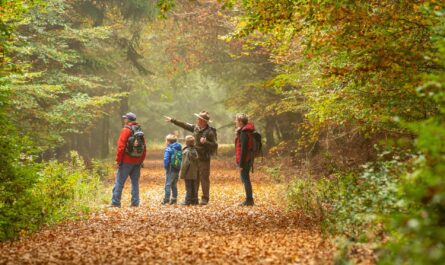 Spannende Spurensuche in herbstlichem Nationalparkwald